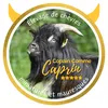 Copain comme caprin
