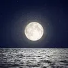 moonalk1