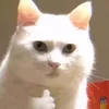 hoangnhiji0510