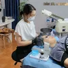 kimtuyenbmt