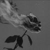 deadstarrxo