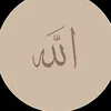 user037128345
