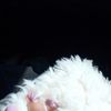 noorah_1991