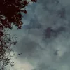 lousurlaterre