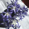 tina_blue