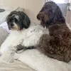 maweetoon