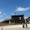 vn____11