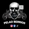 pelao_berrios