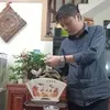tinhong556