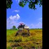 agusindarto67