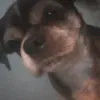 paulost22