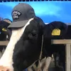 farmlad2