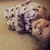 phoebexmaej