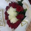 amyna231