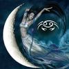 wonder_basket