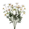 cherishdaisy