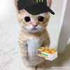breadstick1324