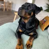 abiandbailey