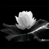 user4975058