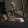 caroline_catbridges_kitt
