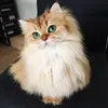iamlinhkieu