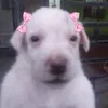 ana_bea02