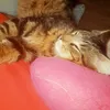 milou105