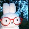 pompompompurin7