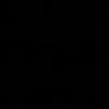 sel.11234