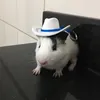 Vic