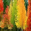 user120862616