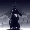 le_vrai_crow