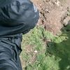 labacokuttu44