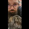 auggiesleftpaw