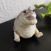 bertogator