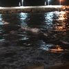 marwashehab8