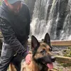 andygraham86