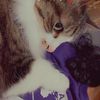 mel_ks_27