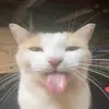 jake_thegreat85
