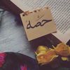 anood2260