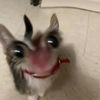 krlwrm