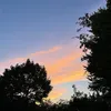 yasminer0