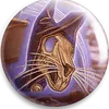 disclancer
