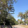 ionecyc