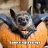 tanyanorenberg