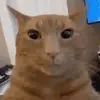 quanterox