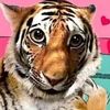 xaq4evrrrr