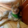 vydinh_85