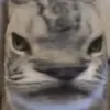 heheboy6626