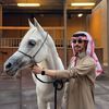 shaibani1_